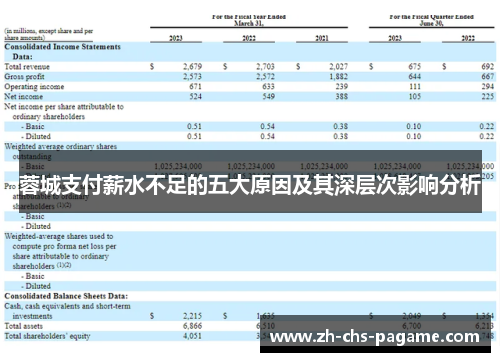 蓉城支付薪水不足的五大原因及其深层次影响分析