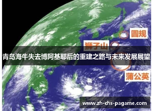 青岛海牛失去博阿基耶后的重建之路与未来发展展望